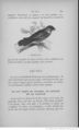 Buffon illustré de la jeunesse - 1893 Gallica page f191.jpg