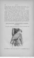 Buffon illustré de la jeunesse - 1893 Gallica page f194.jpg