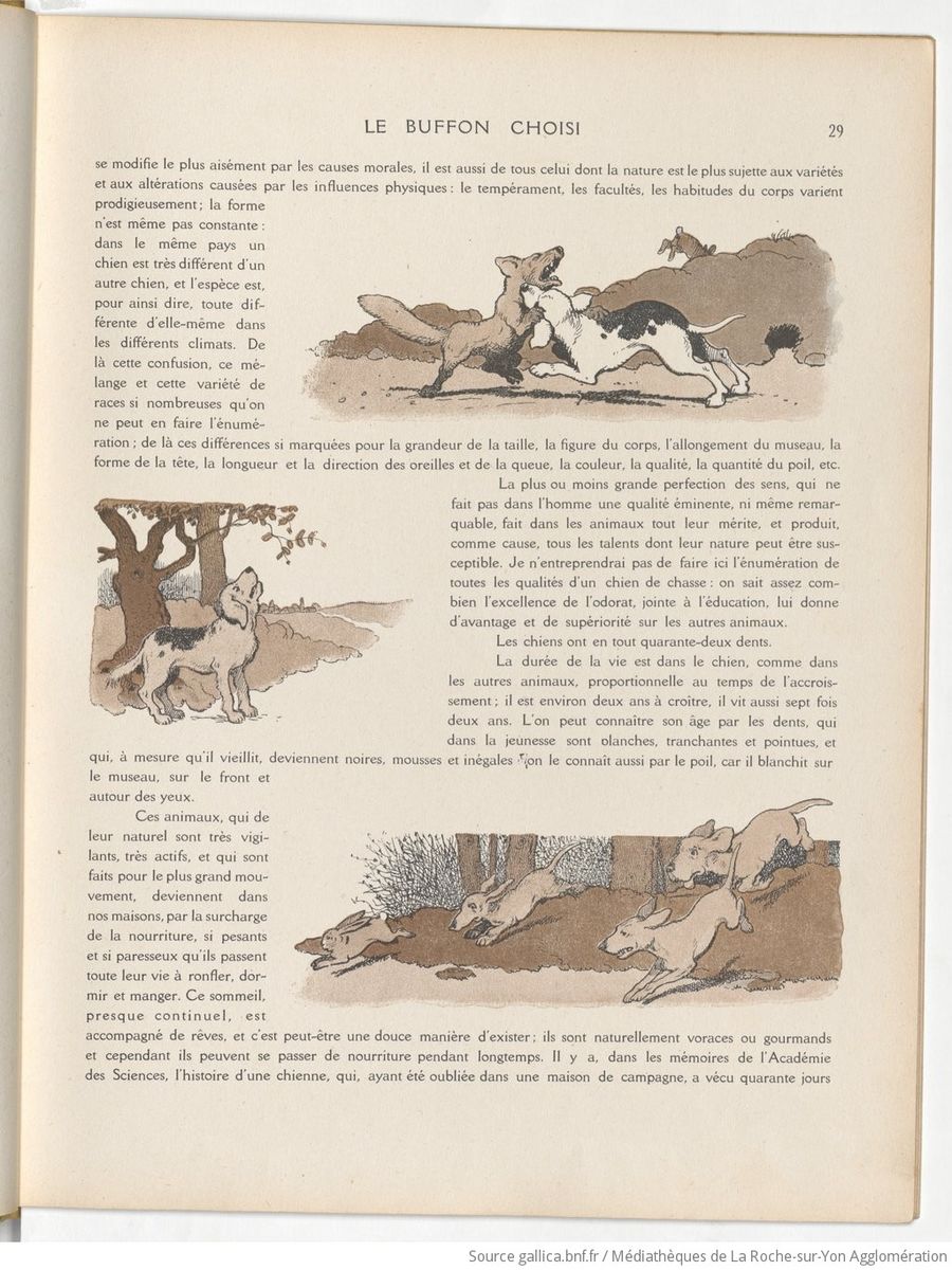 Le Buffon choisi de Benjamin Rabier, page f37.jpg