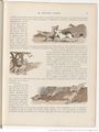 Le Buffon choisi de Benjamin Rabier, page f37.jpg