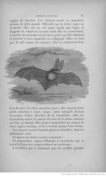 Buffon illustré de la jeunesse - 1893 Gallica page f93.jpg