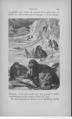 Buffon illustré de la jeunesse - 1893 Gallica page f147.jpg