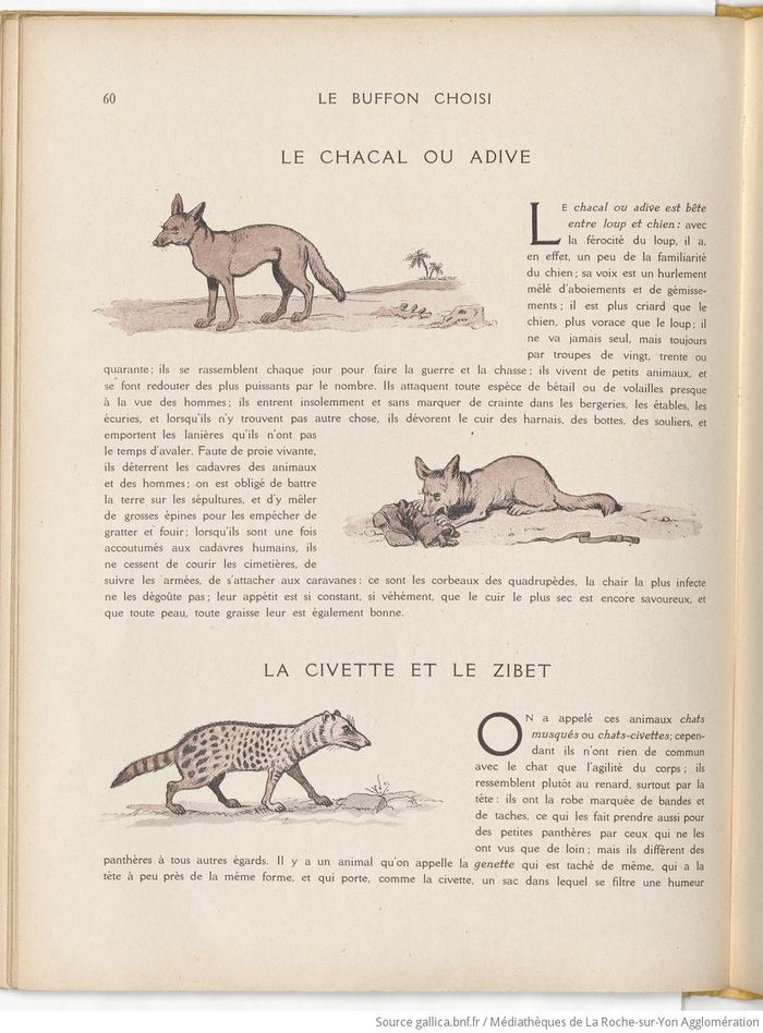 Le Buffon choisi de Benjamin Rabier, page f68.jpg