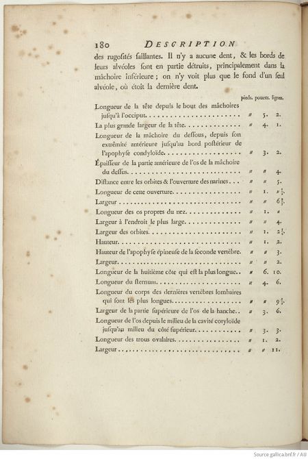 Buffon Hist Nat E.O. Tome 15 f230.jpg