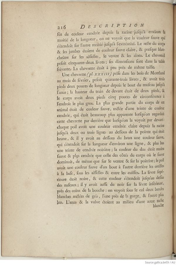 Buffon Hist Nat E.O. Tome 6 f292.jpg