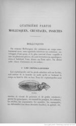Buffon illustré de la jeunesse - 1893 Gallica page f271.jpg