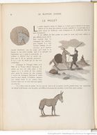 Le Buffon choisi de Benjamin Rabier, page f18.jpg