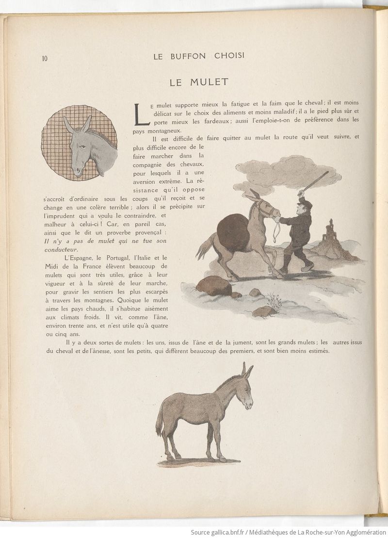 Le Buffon choisi de Benjamin Rabier, page f18.jpg