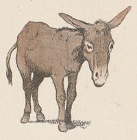 Buffon Rabier image Ane 1.jpg