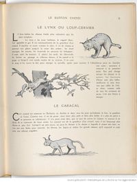 Le Buffon choisi de Benjamin Rabier, page f79.jpg