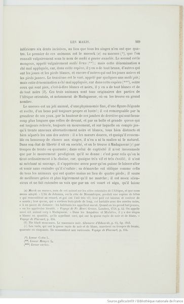 Fichier:Buffon Lanessan Tome 9 page f606.jpg
