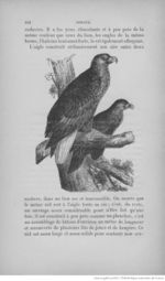Buffon illustré de la jeunesse - 1893 Gallica page f150.jpg