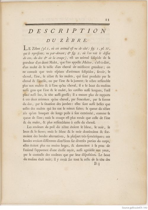 Buffon Hist Nat E.O. Tome 12 f43.jpg
