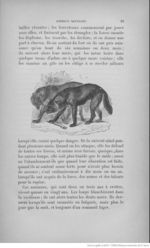 Buffon illustré de la jeunesse - 1893 Gallica page f37.jpg