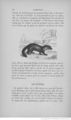 Buffon illustré de la jeunesse - 1893 Gallica page f46.jpg