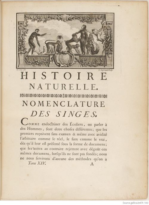 Buffon Hist Nat E.O. Tome 14 f17.jpg