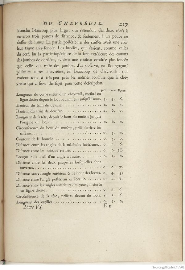 Buffon Hist Nat E.O. Tome 6 f293.jpg
