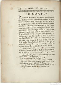 Buffon Hist Nat E.O. Tome 8 f466.jpg