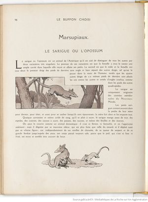 Le Buffon choisi de Benjamin Rabier, page f102.jpg