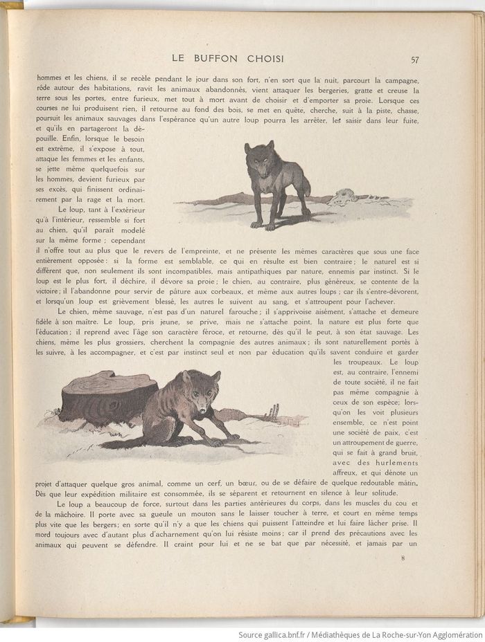 Le Buffon choisi de Benjamin Rabier, page f65.jpg