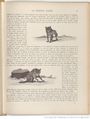 Le Buffon choisi de Benjamin Rabier, page f65.jpg