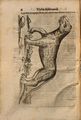 De quadrupedibus digitatis (1649) Aldrovandi IA page n16.jpg