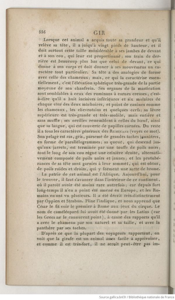 Dictionnaire Cuvier Hist Nat 1916 T18, page 568.jpg