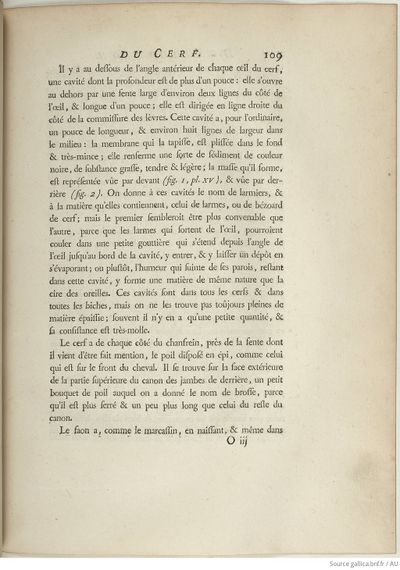 Buffon Hist Nat E.O. Tome 6 f139.jpg
