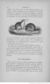 Buffon illustré de la jeunesse - 1893 Gallica page f54.jpg