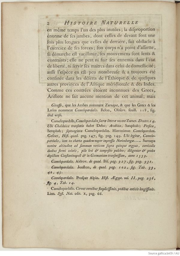 Buffon Hist Nat E.O. Tome 13 f38.jpg