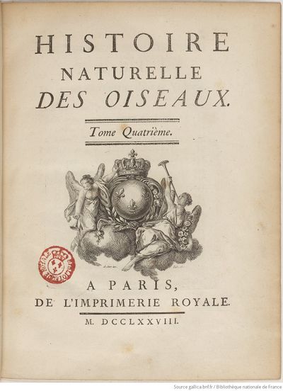 Buffon Hist Nat E.O. Tome 19 f11.jpg