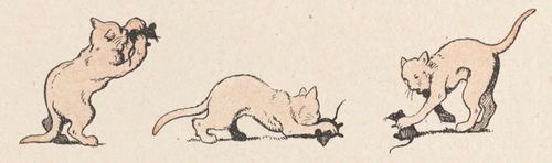 Buffon Rabier Chat image 6.jpg