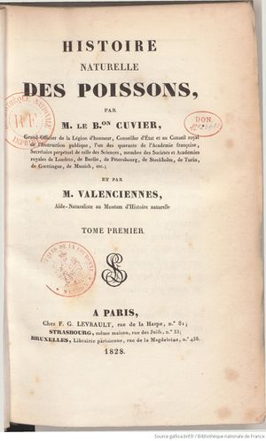 Cuvier Hist Nat Poissons Gallica T 1 page f7.jpg