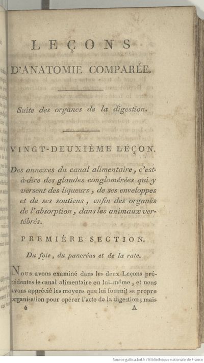 Anatomie Comparée (1805) Cuvier T4 page 29.jpg