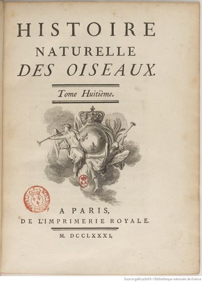 Buffon Hist Nat E.O. Tome 23 f11.jpg