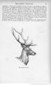 Animaux de nos pays (1909) Coupin, page 66.jpg