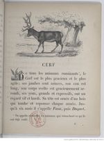 Alphabet illustré des animaux (1862) Doudet f21.jpg