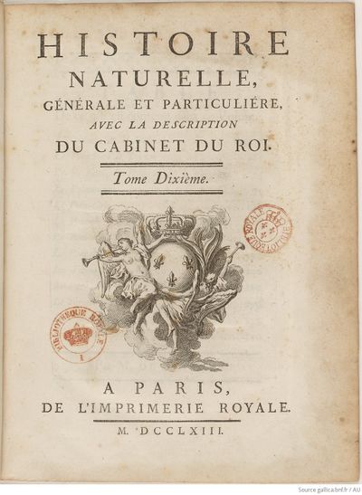 Buffon Hist Nat E.O. Tome 10 f9.jpg