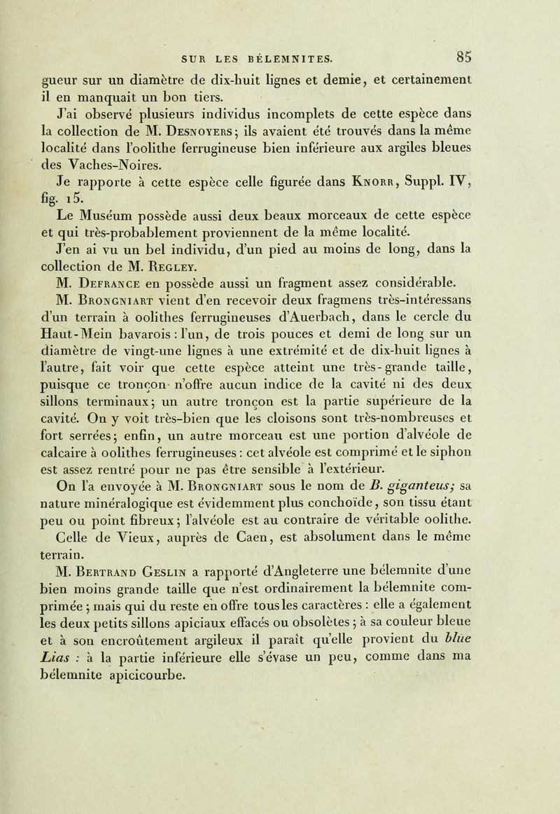 Mémoire bélemnites (1827) Blainville BHL page 99.jpg