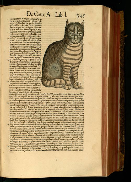 Historia animalium Gessner Unistra page 389.jpg