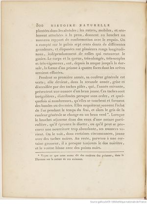 Buffon Hist Nat E.O. Tome P5 f390.jpg