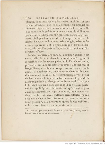Fichier:Buffon Hist Nat E.O. Tome P5 f390.jpg