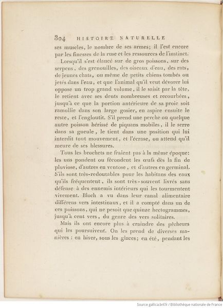 Fichier:Buffon Hist Nat E.O. Tome P5 f394.jpg