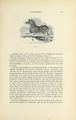 Jardin des plantes (1845) Boitard, page 599.jpg