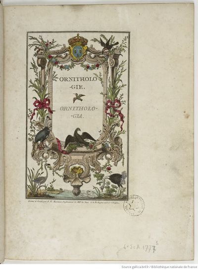 Ornithologie (1760) Brisson, Gallica, tome 1 page 7.jpg