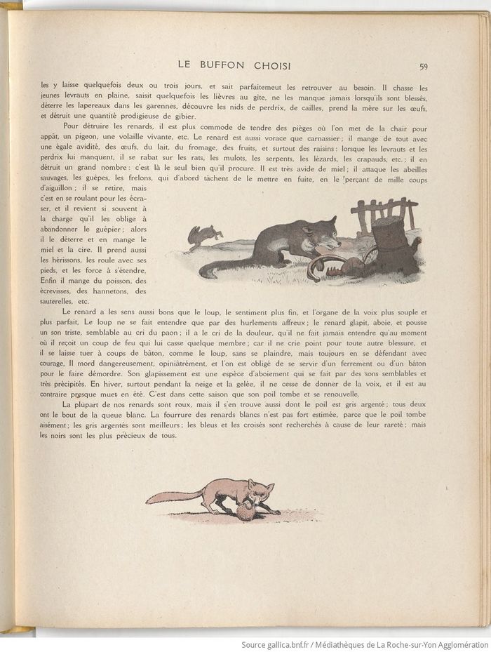 Le Buffon choisi de Benjamin Rabier, page f67.jpg