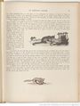 Le Buffon choisi de Benjamin Rabier, page f67.jpg