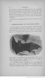 Buffon illustré de la jeunesse - 1893 Gallica page f92.jpg