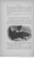 Buffon illustré de la jeunesse - 1893 Gallica page f92.jpg