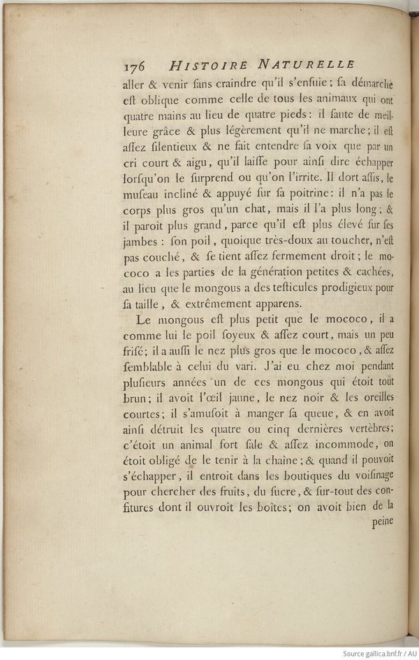 Buffon Hist Nat E.O. Tome 13 f254.jpg